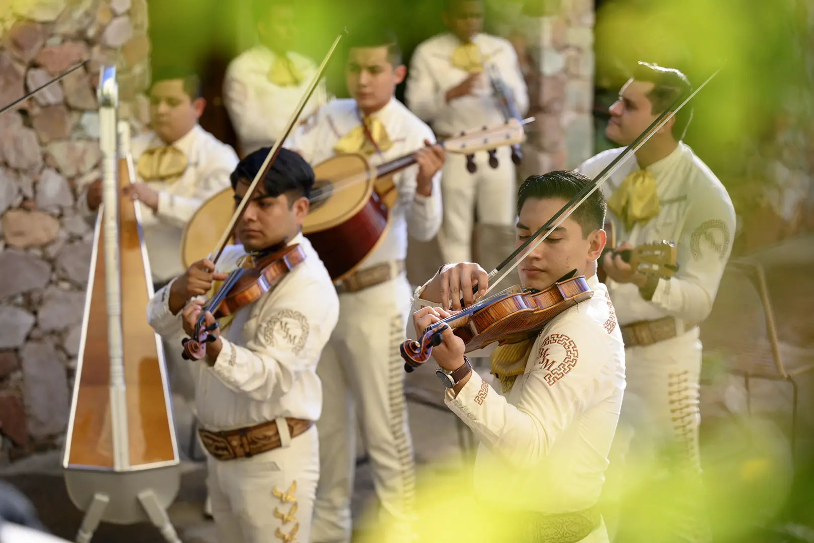 Mariachi band in white with yellow ties performs outdoors; two play violins, others guitar, framed by green foliage.