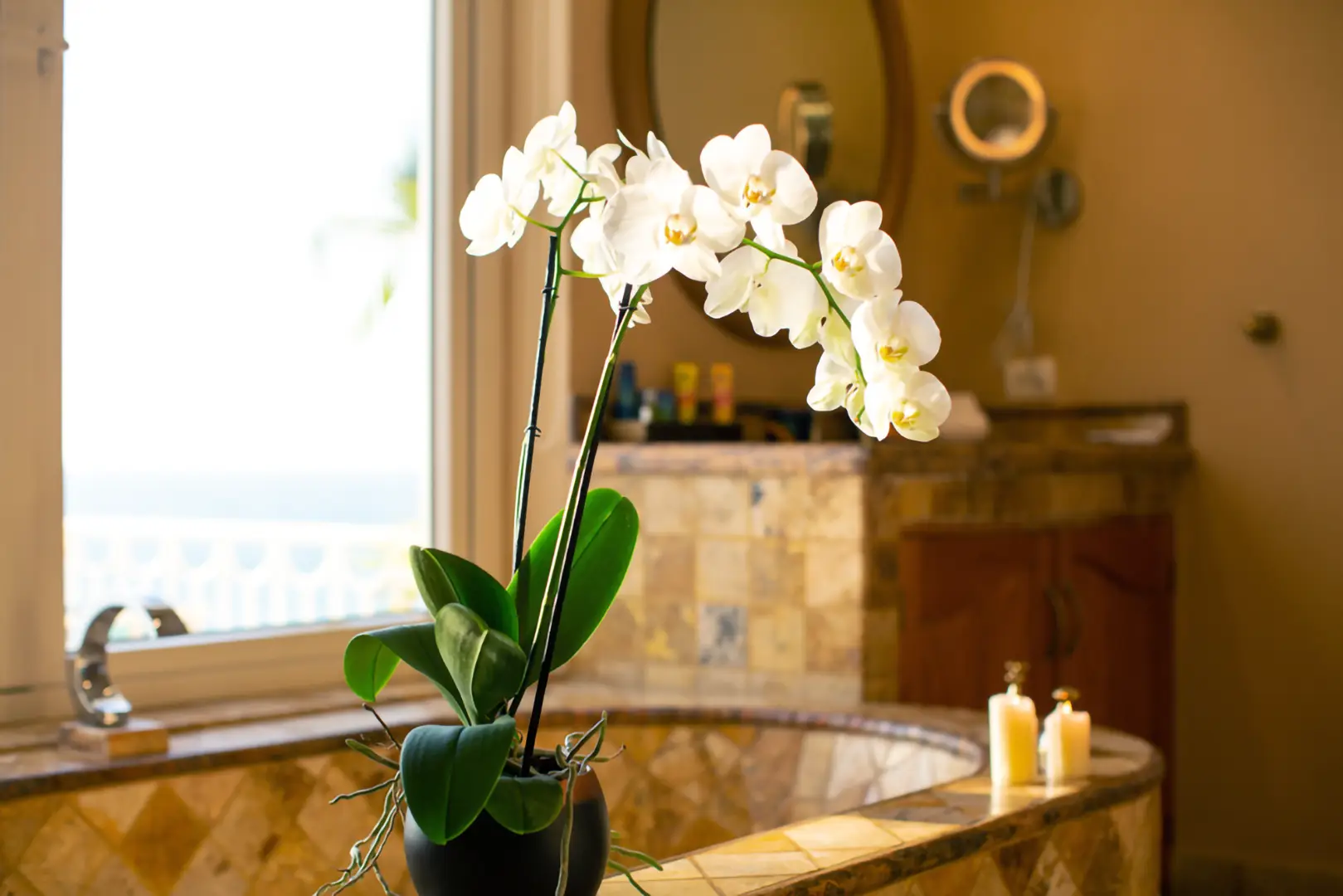 A white orchid in a black pot sits on a tiled bathtub edge in a sunlit bathroom with candles and toiletries nearby.