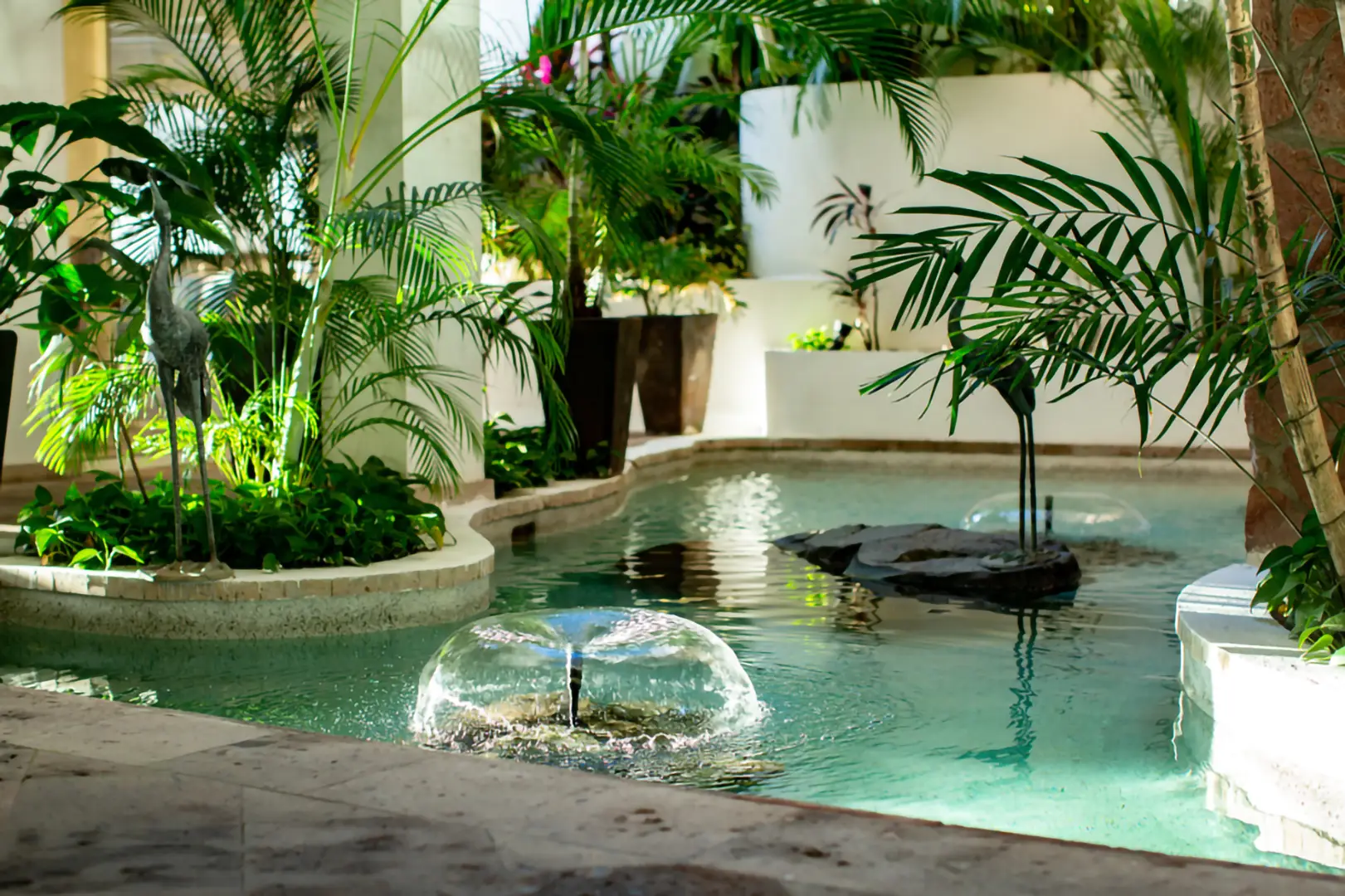 Indoor pool with clear water, small fountains, tropical plants, and white walls lit by natural sunlight.